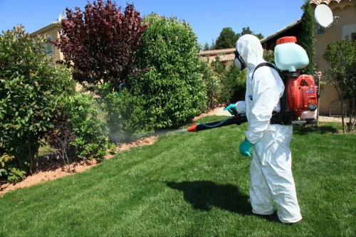 Medina Mosquito Removal Technicians